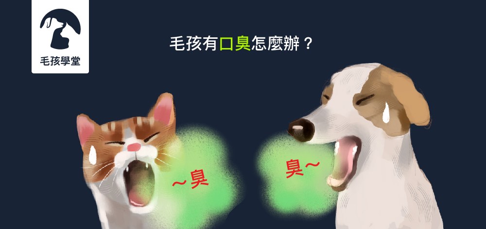 毛孩有口臭怎麼辦？讓獸醫師來告訴你寵物口臭的成因與口腔保養該注意的地方